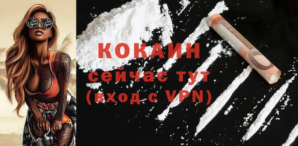стаф Горняк