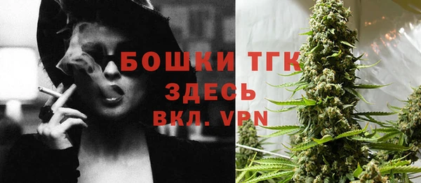 стаф Горняк