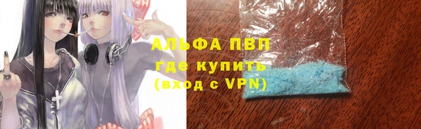стаф Горняк