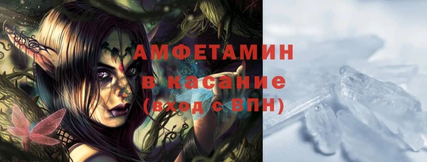 стаф Горняк