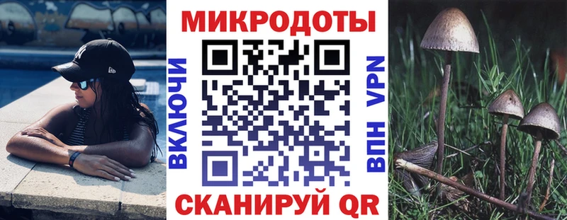 Купить где  Каргат  Галлюциногенные грибы GOLDEN TEACHER 